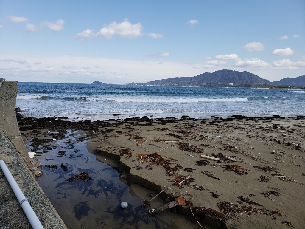 f:id:GOldduck:20190210143813j:plain