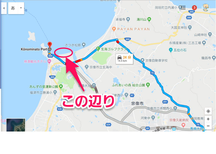 f:id:GOldduck:20190210144117p:plain