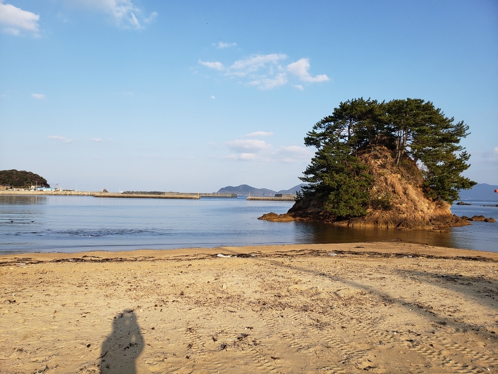 f:id:GOldduck:20190219044742j:plain f:id:GOldduck:20190219044742j:plain