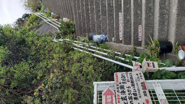 f:id:GOldduck:20190430103858j:image f:id:GOldduck:20190430103858j:image