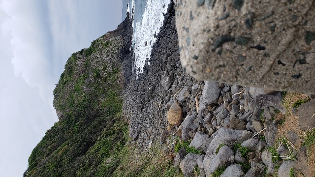 f:id:GOldduck:20190430105717j:image f:id:GOldduck:20190430105717j:image