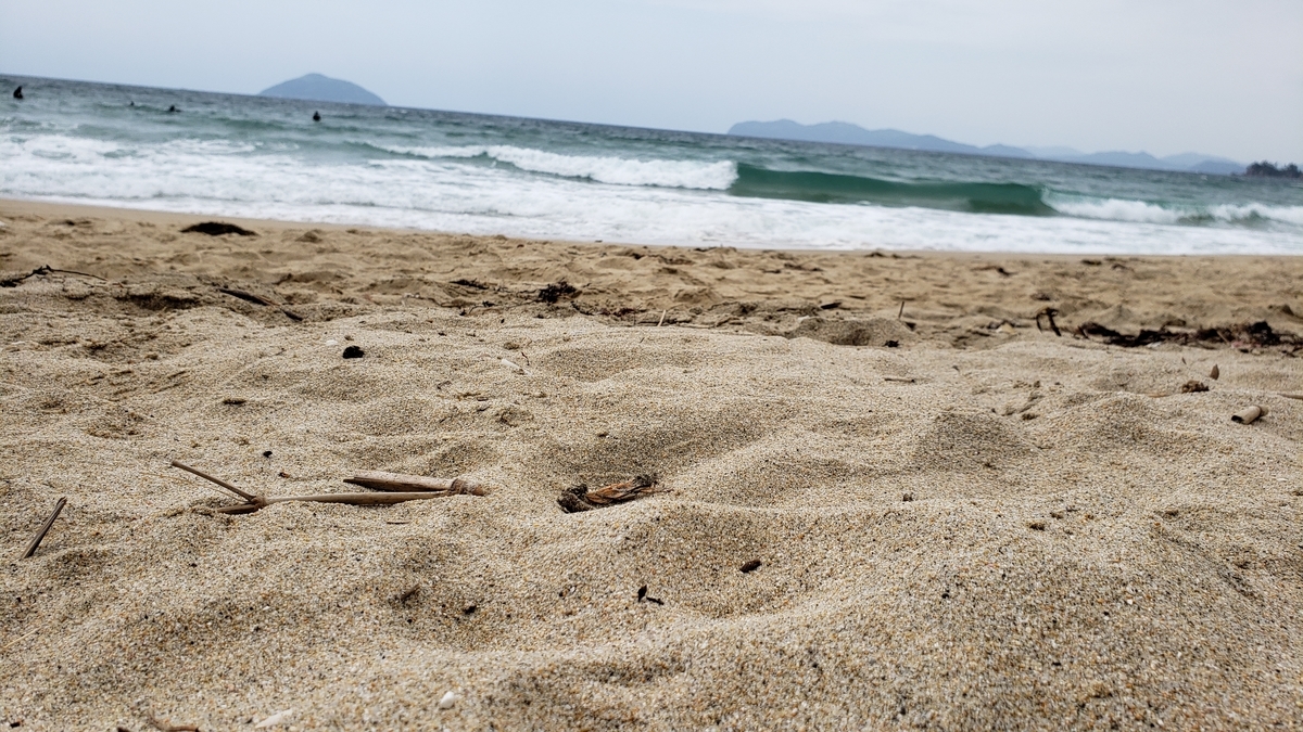 f:id:GOldduck:20190613054249j:plain f:id:GOldduck:20190613054249j:plain