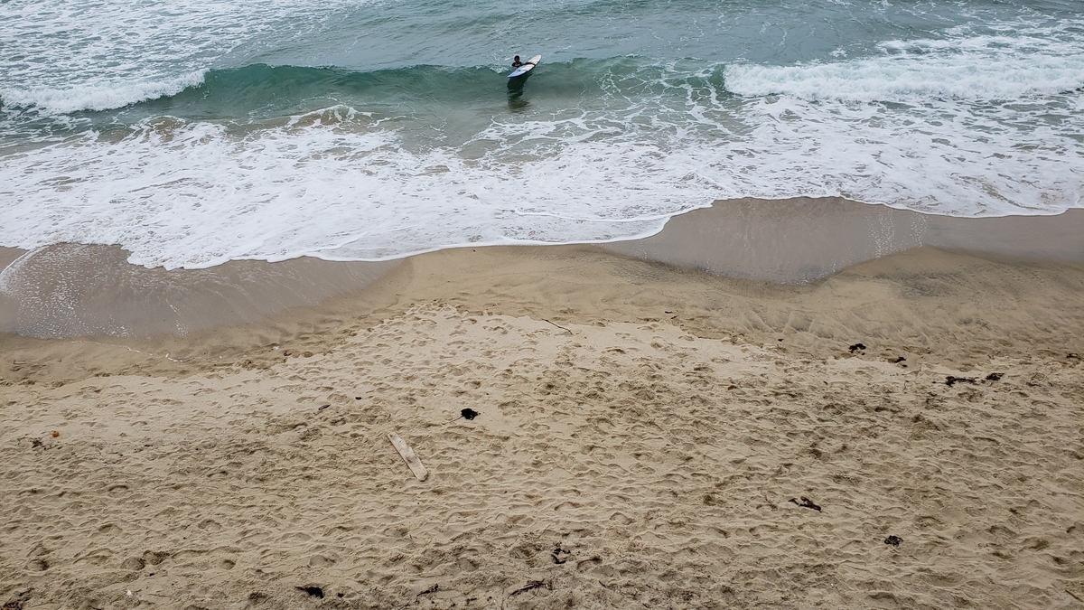 f:id:GOldduck:20190613054315j:plain f:id:GOldduck:20190613054315j:plain