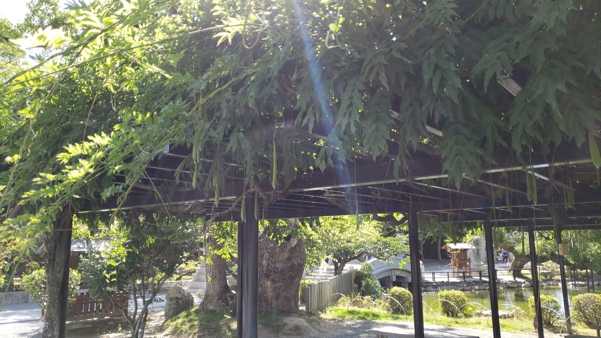 f:id:GOldduck:20190625064403j:plain