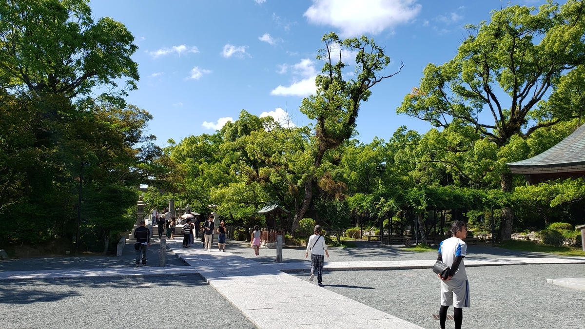 f:id:GOldduck:20190625064422j:plain