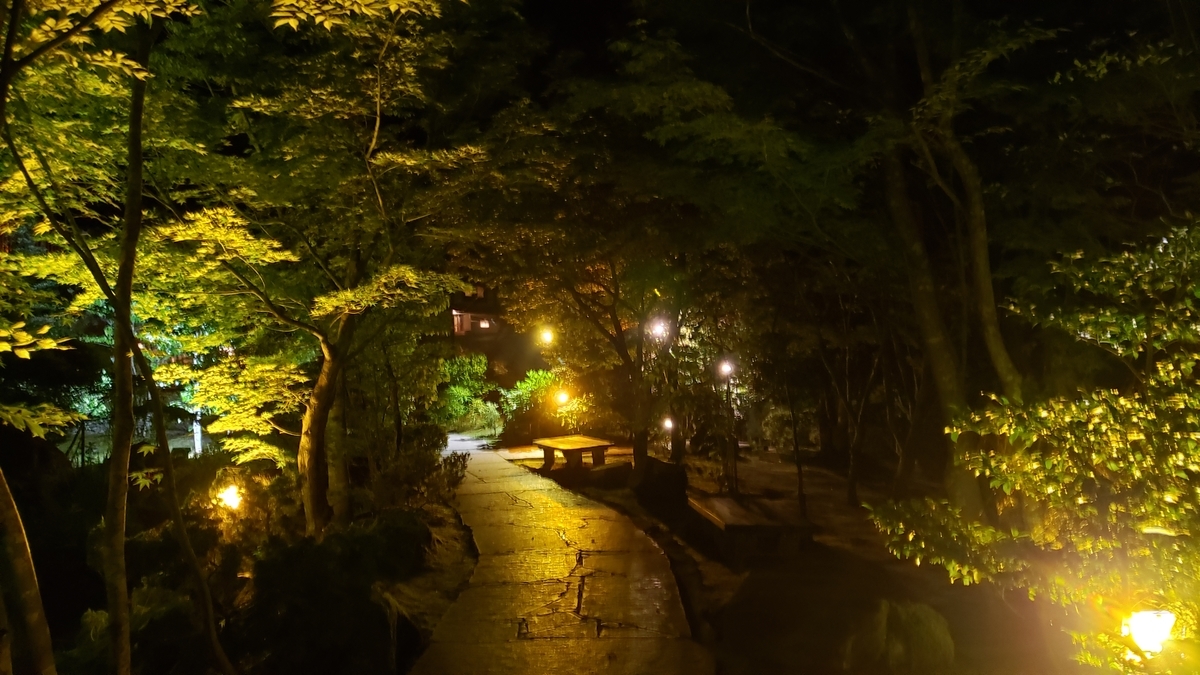 f:id:GOldduck:20190709035717j:plain