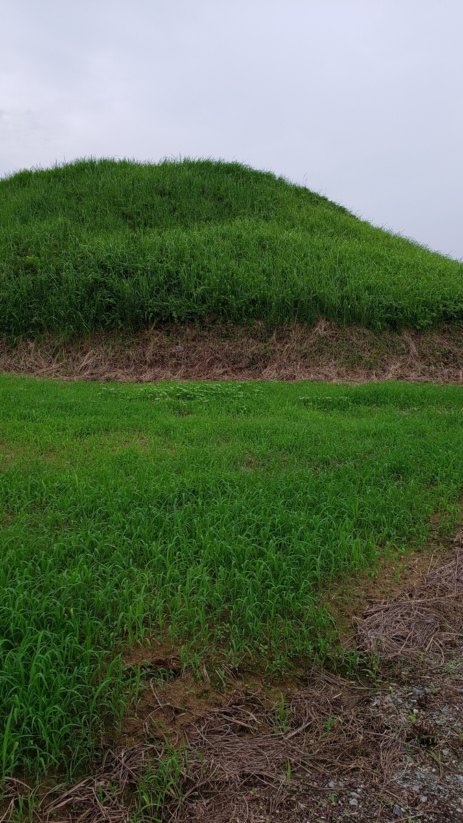 f:id:GOldduck:20190826111000j:plain f:id:GOldduck:20190826111000j:plain