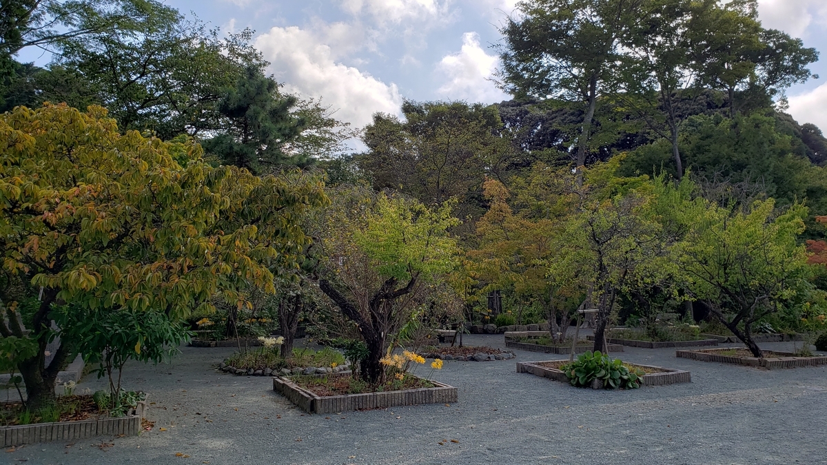 f:id:GOldduck:20190915220920j:plain f:id:GOldduck:20190915220920j:plain