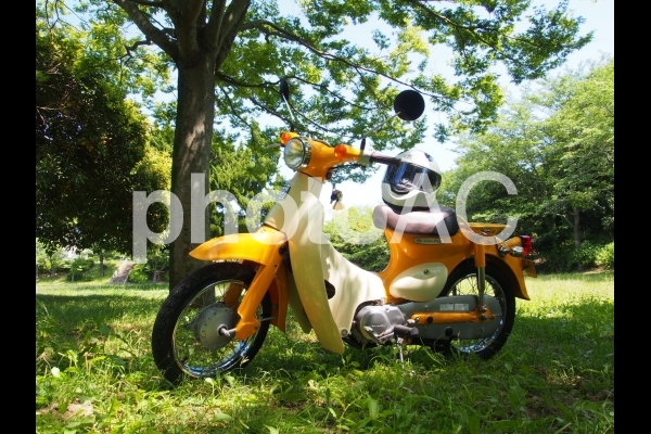 f:id:GOldduck:20200320031611j:plain
