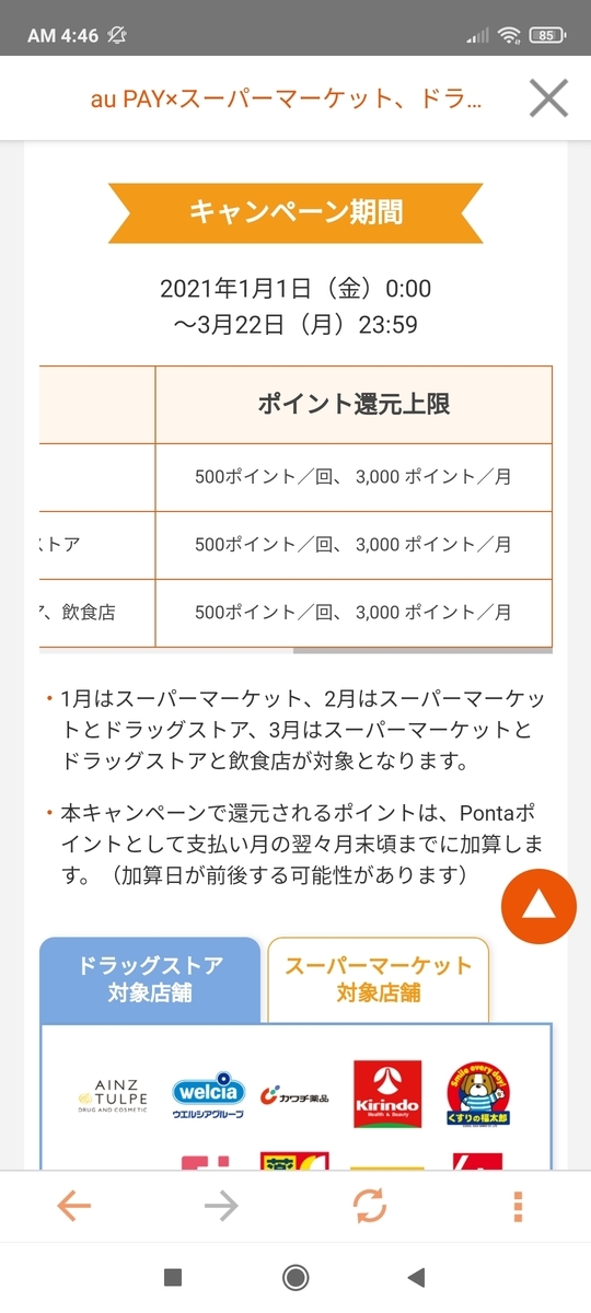 f:id:GOldduck:20210214012015j:plain