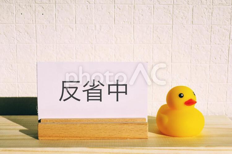 f:id:GOldduck:20210510141306j:plain
