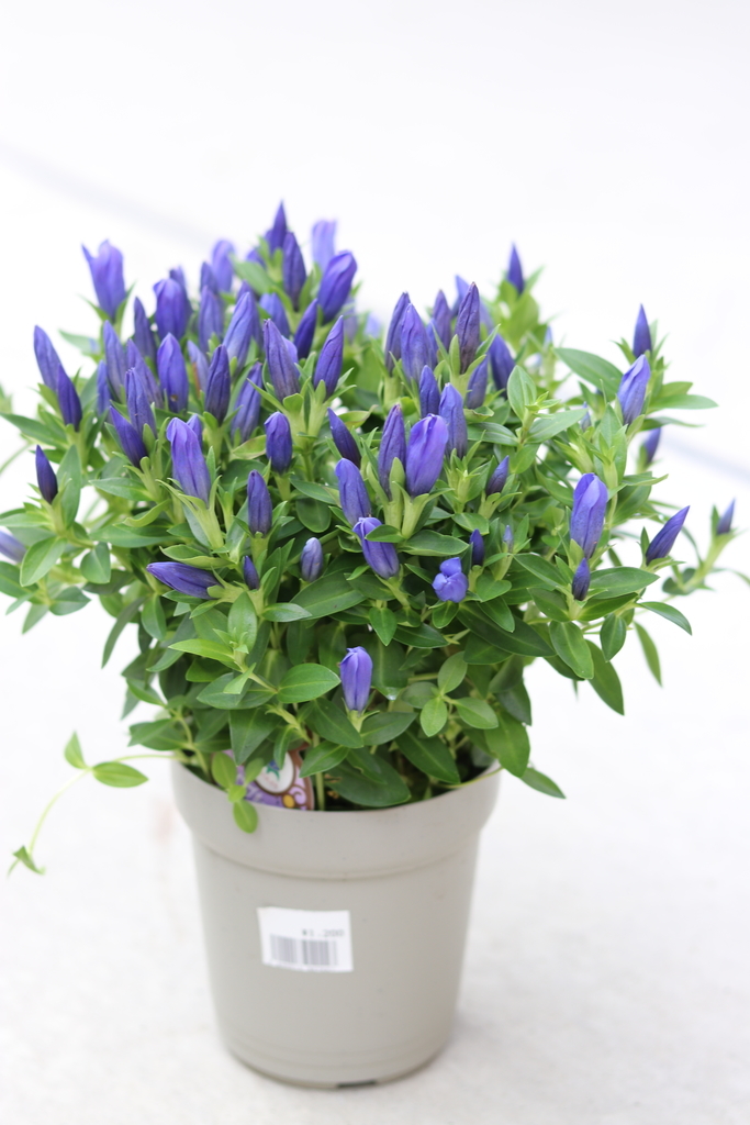 f:id:GP-Yamacho:20180914121248j:plain f:id:GP-Yamacho:20180914121248j:plain