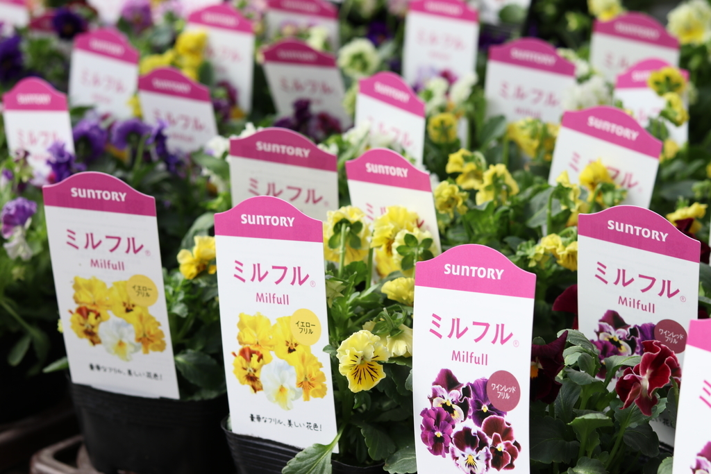 f:id:GP-Yamacho:20181005093039j:plain