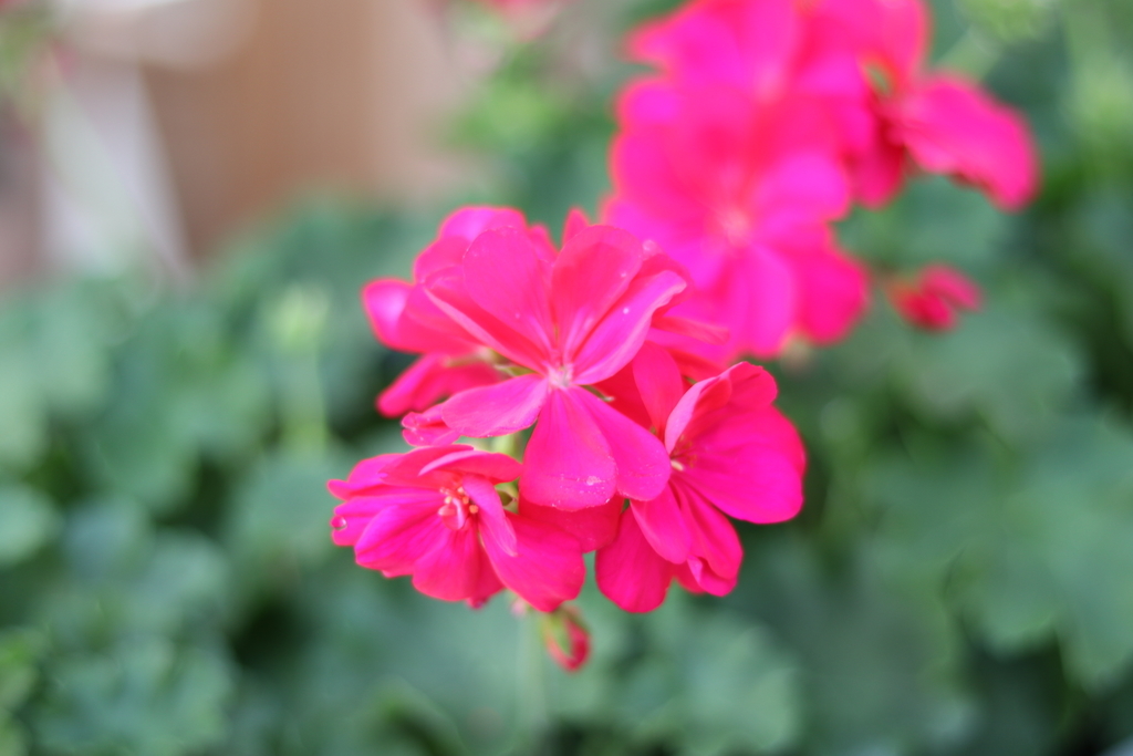 f:id:GP-Yamacho:20181019165301j:plain f:id:GP-Yamacho:20181019165301j:plain
