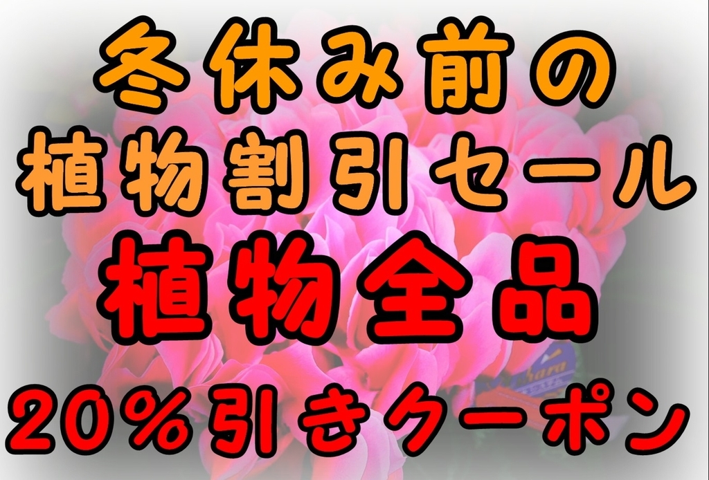 f:id:GP-Yamacho:20181222091512j:plain f:id:GP-Yamacho:20181222091512j:plain