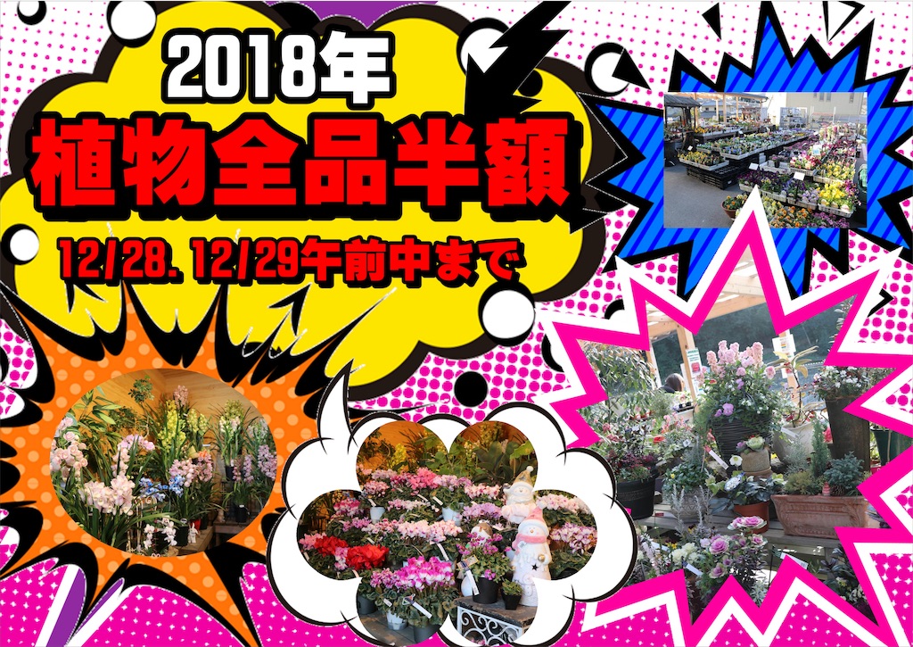 f:id:GP-Yamacho:20181227161919j:image f:id:GP-Yamacho:20181227161919j:image