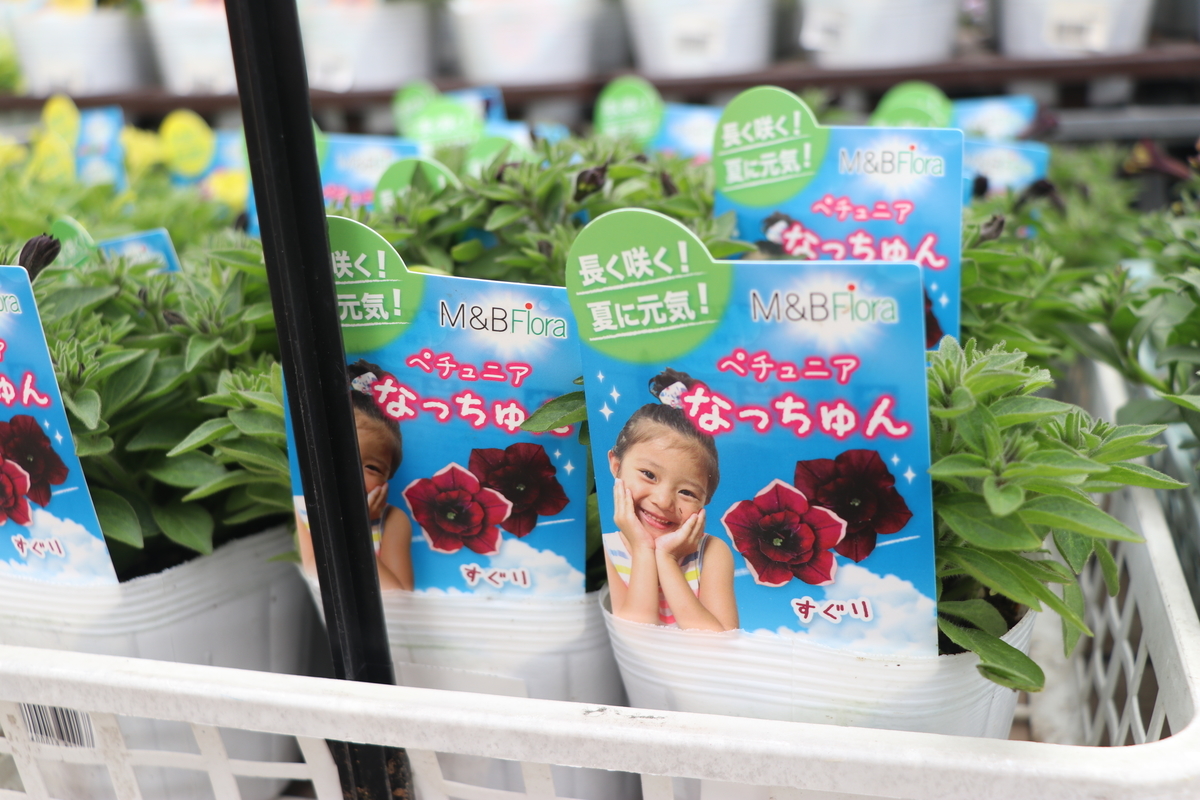f:id:GP-Yamacho:20190328121246j:plain