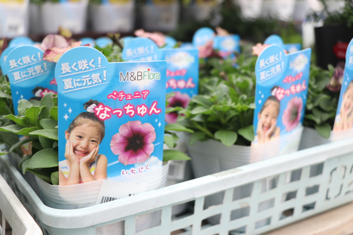 f:id:GP-Yamacho:20190328121308j:plain