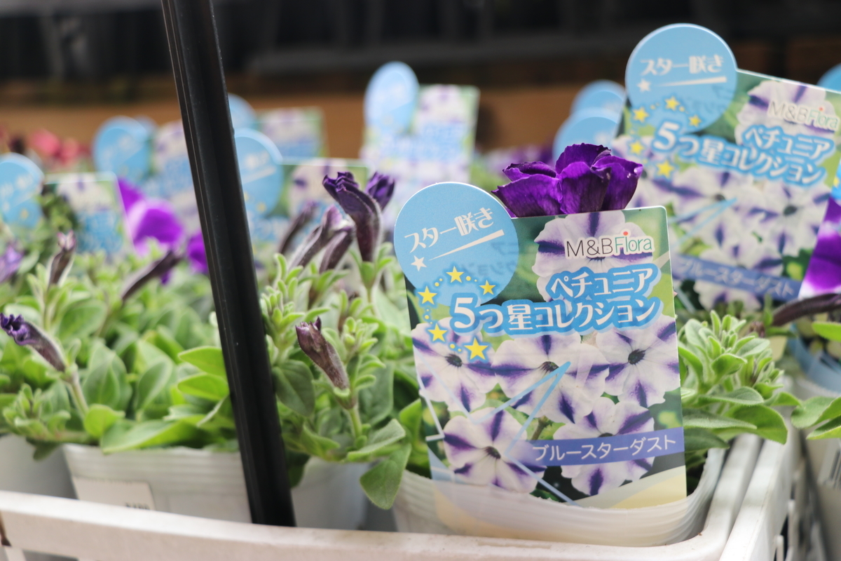 f:id:GP-Yamacho:20190328121431j:plain