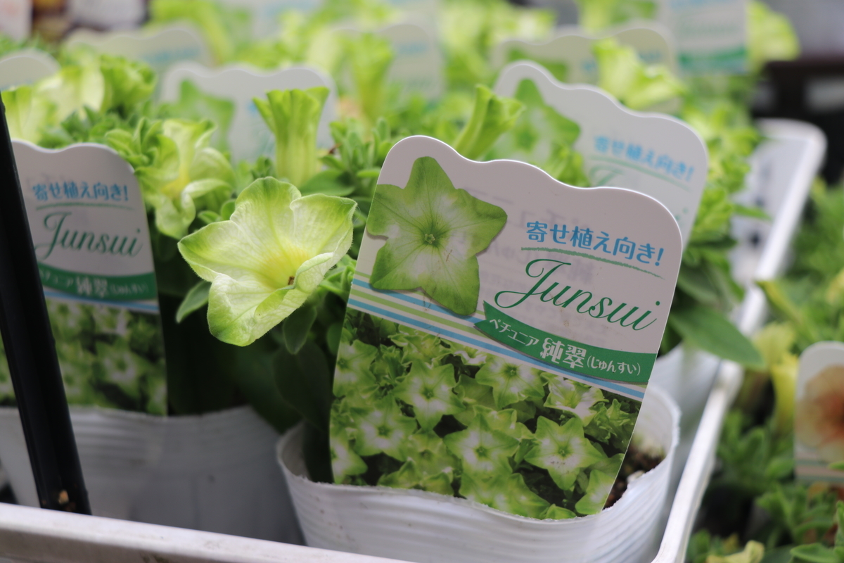 f:id:GP-Yamacho:20190328121602j:plain