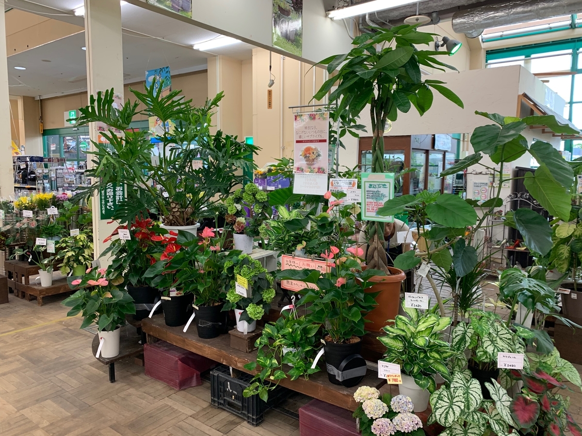 f:id:GP-Yamacho:20190901094222j:plain