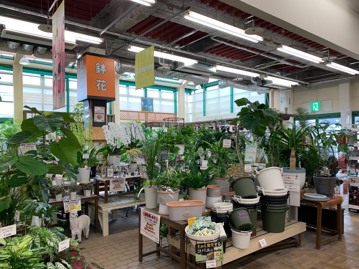 f:id:GP-Yamacho:20190901094238j:plain