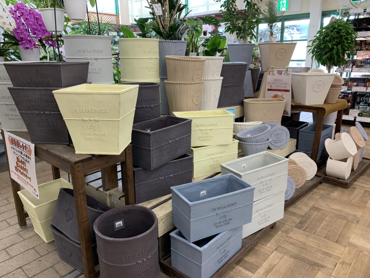 f:id:GP-Yamacho:20190916164833j:plain f:id:GP-Yamacho:20190916164833j:plain