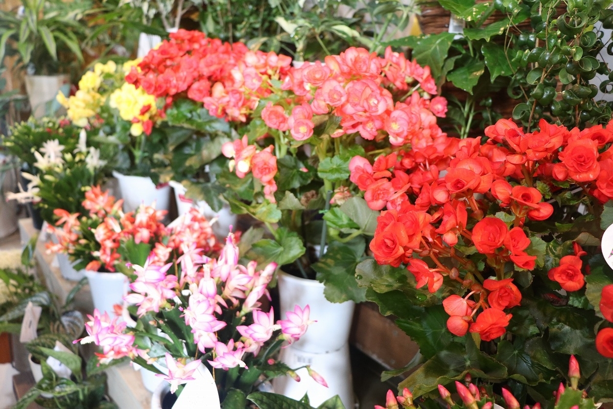 f:id:GP-Yamacho:20190929113058j:plain