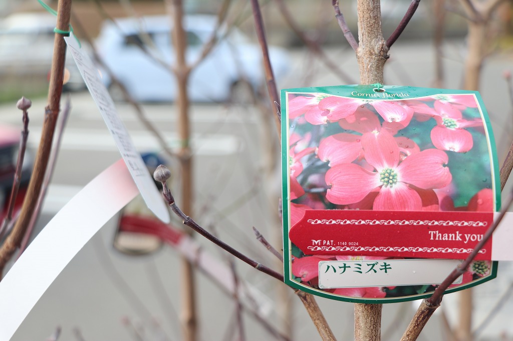 f:id:GP-Yamacho:20200115144644j:plain
