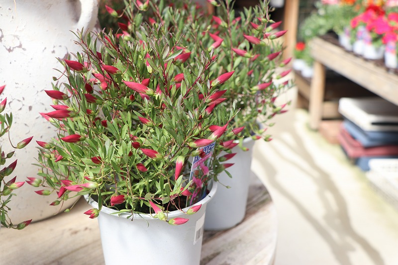 f:id:GP-Yamacho:20200312124730j:plain f:id:GP-Yamacho:20200312124730j:plain