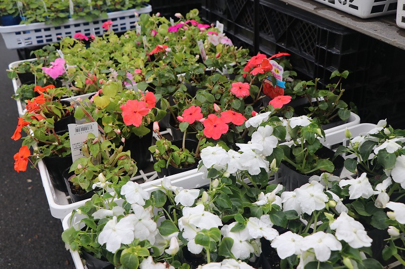 f:id:GP-Yamacho:20200531123713j:plain