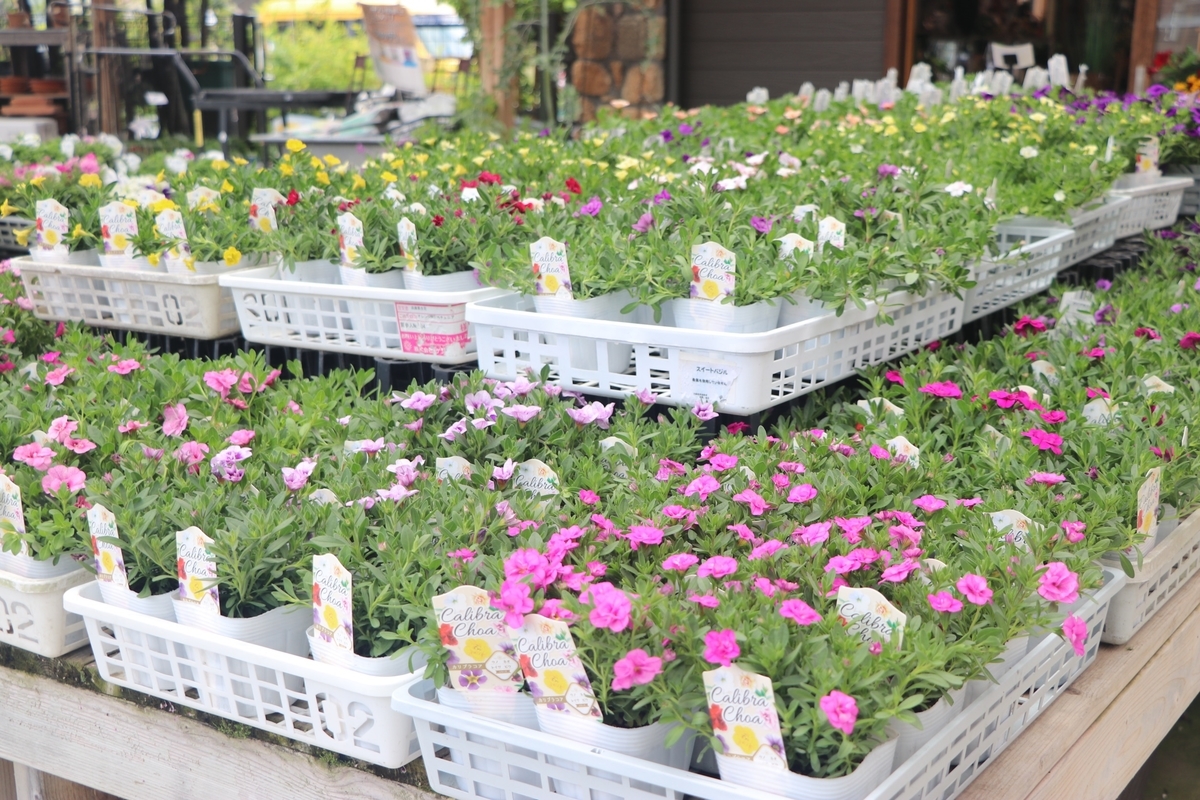 f:id:GP-Yamacho:20210513163759j:plain