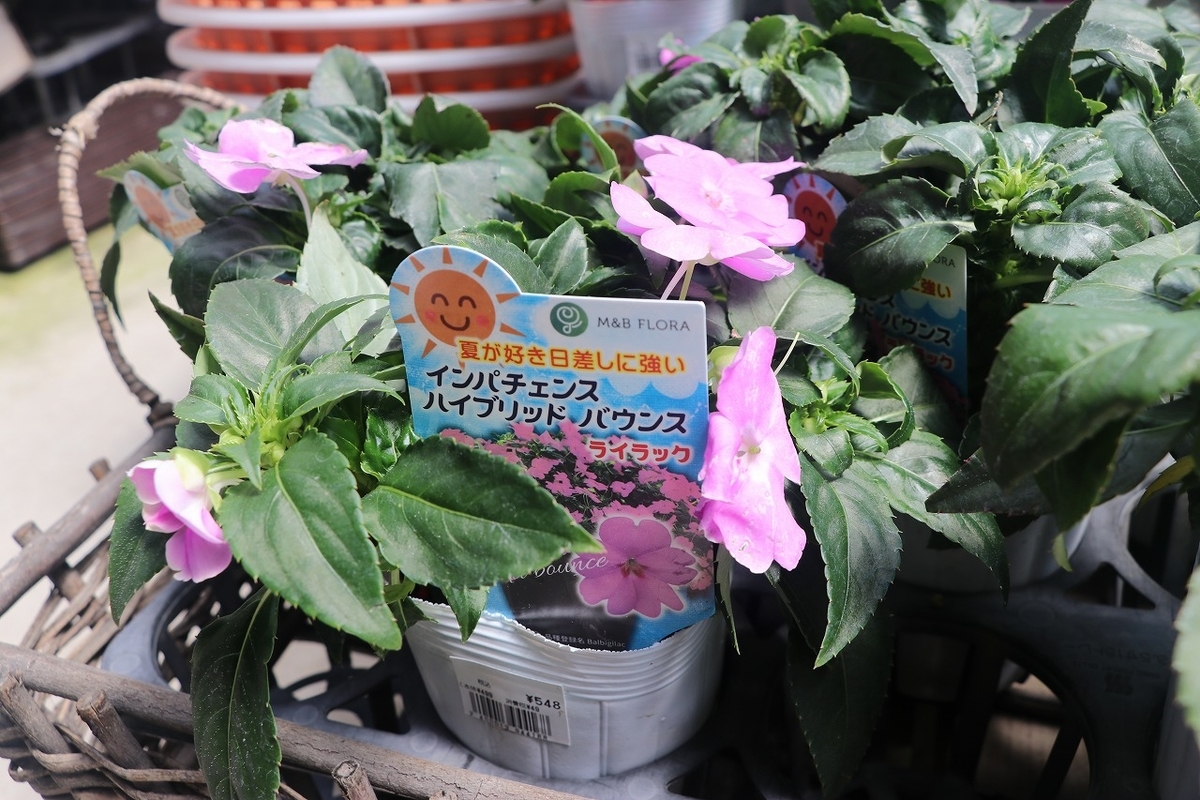 f:id:GP-Yamacho:20210610135154j:plain