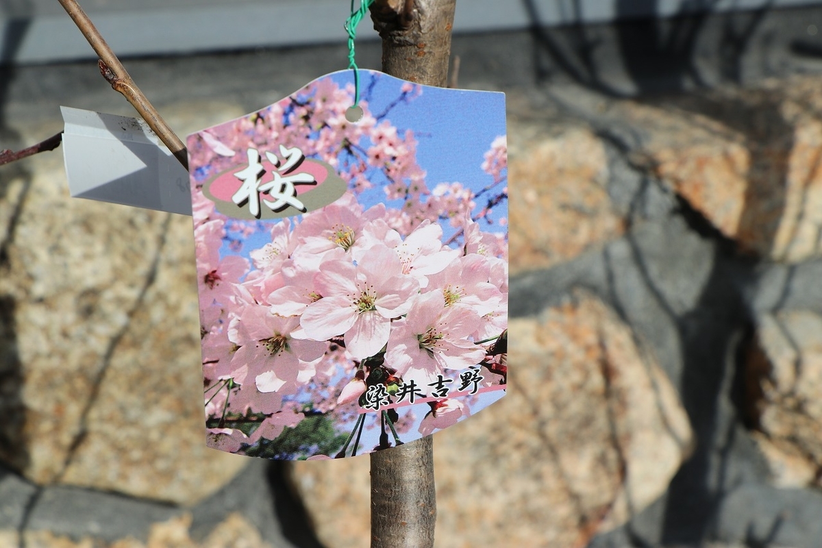f:id:GP-Yamacho:20220209154526j:plain