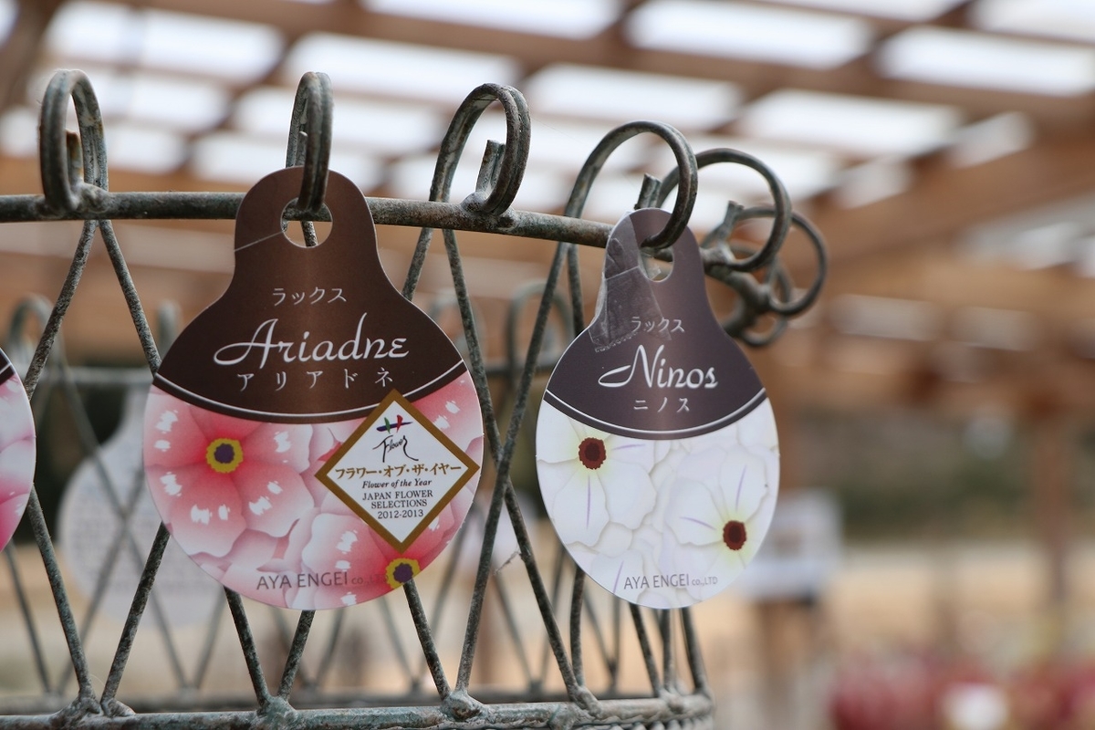 f:id:GP-Yamacho:20220224105733j:plain