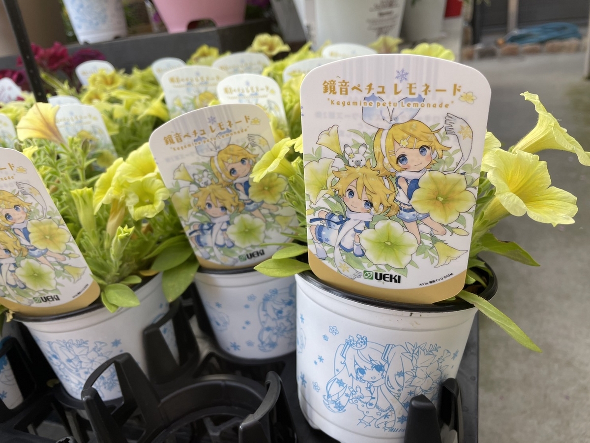 雪花　ブルベ夏まとめ売り 20230517191354.jpg