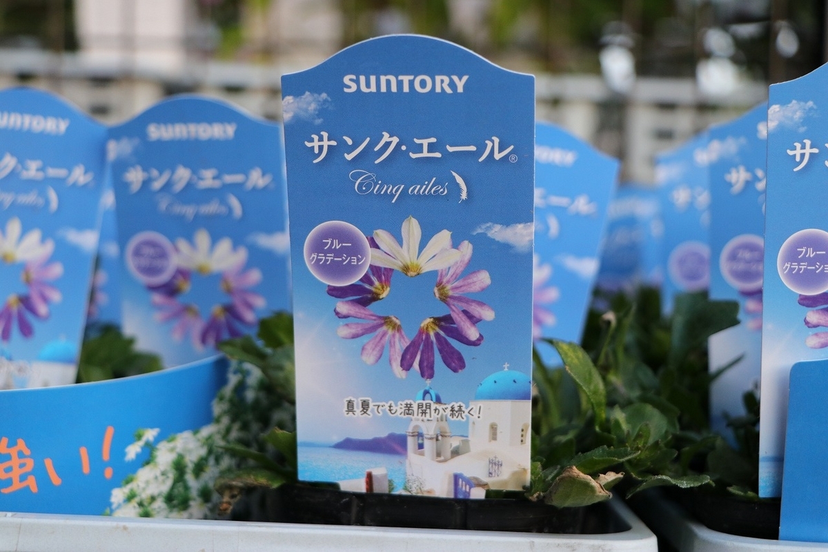 サントリー サンク・エール ブルーグラデーション