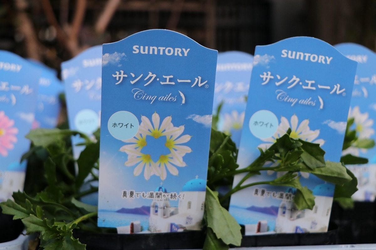 サントリー サンク・エール ホワイト