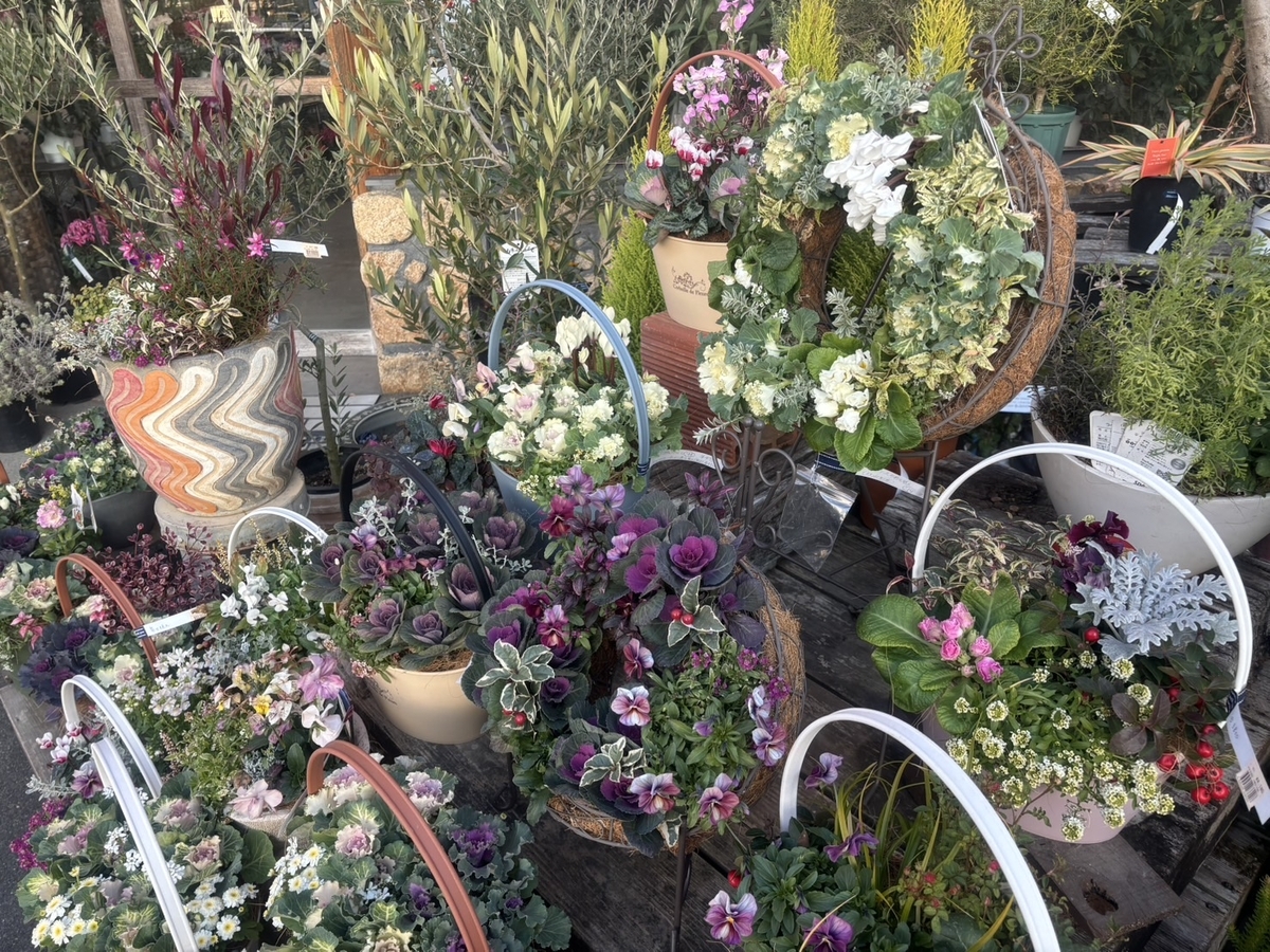 年末の雰囲気満載！寄せ植えや門松♪ #年末 #寄せ植え - GP-Yamacho