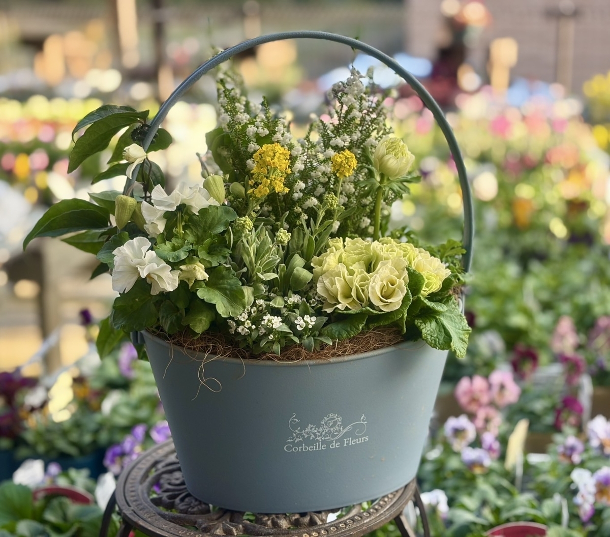スズランエリカ　寄せ植え