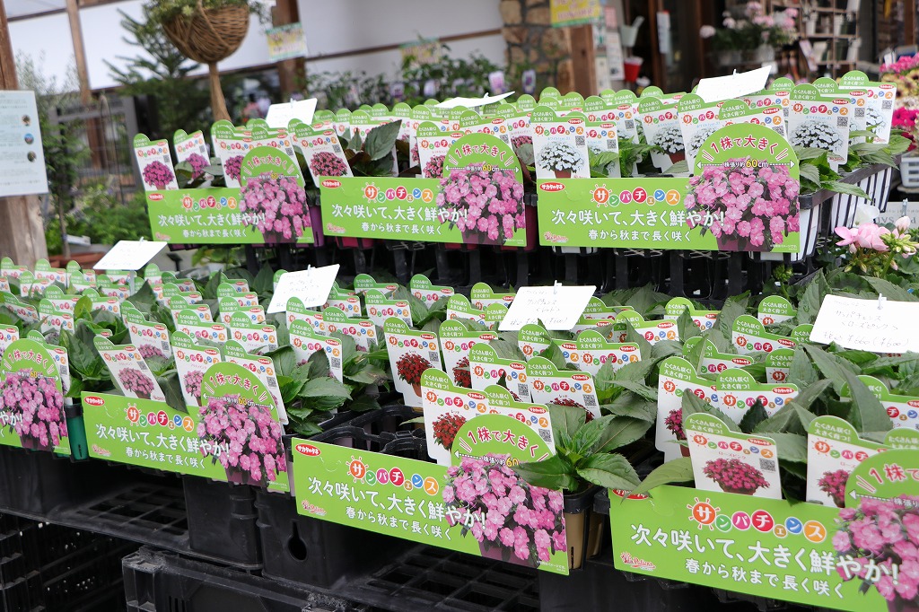 安心と信頼のメーカー苗！ - GP-Yamacho