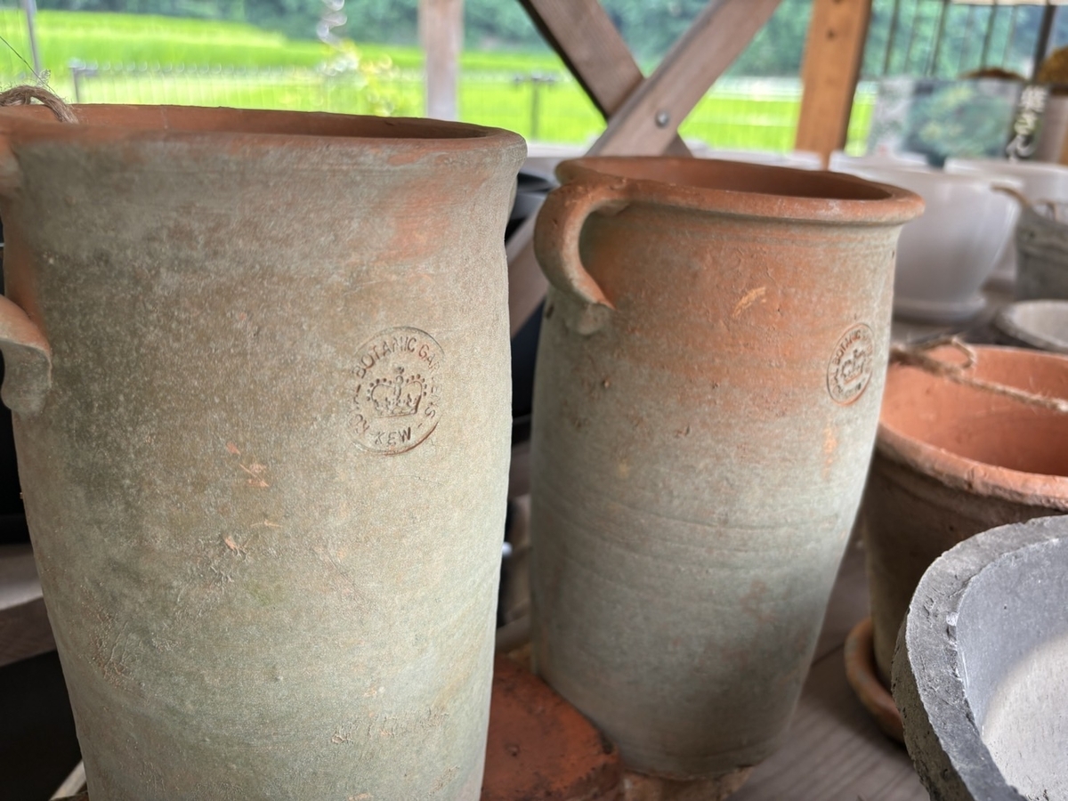 キューガーデン』新作テラコッタ鉢登場！#高級感 - GP-Yamacho