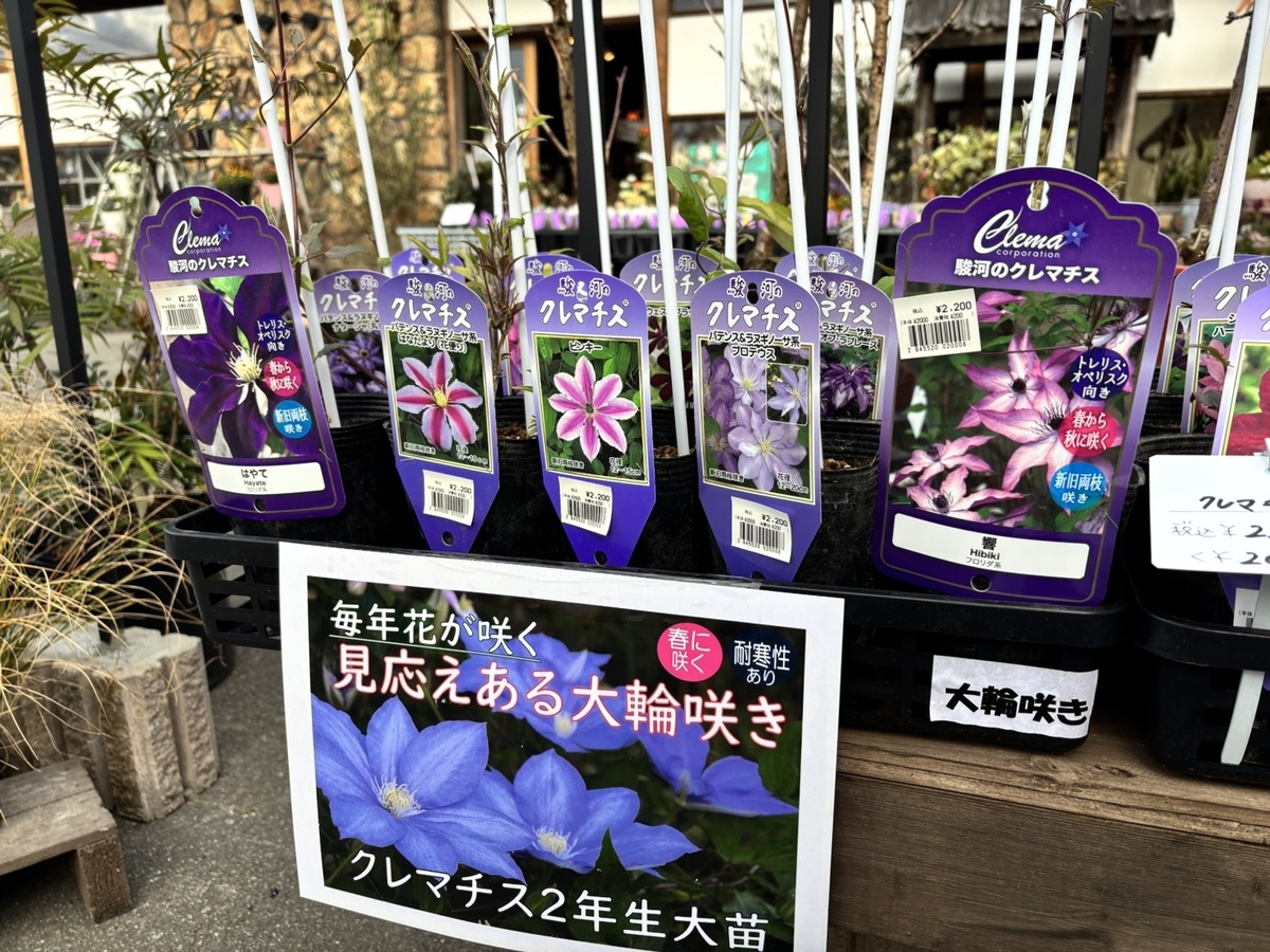 クレマチスの約90種が入荷！お早めに♪ #クレマチス - GP-Yamacho