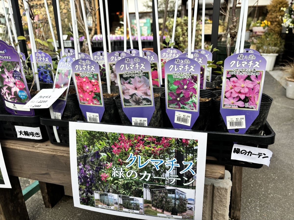 クレマチスの約90種が入荷！お早めに♪ #クレマチス - GP-Yamacho