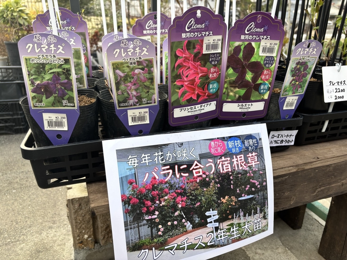 クレマチスの約90種が入荷！お早めに♪ #クレマチス - GP-Yamacho