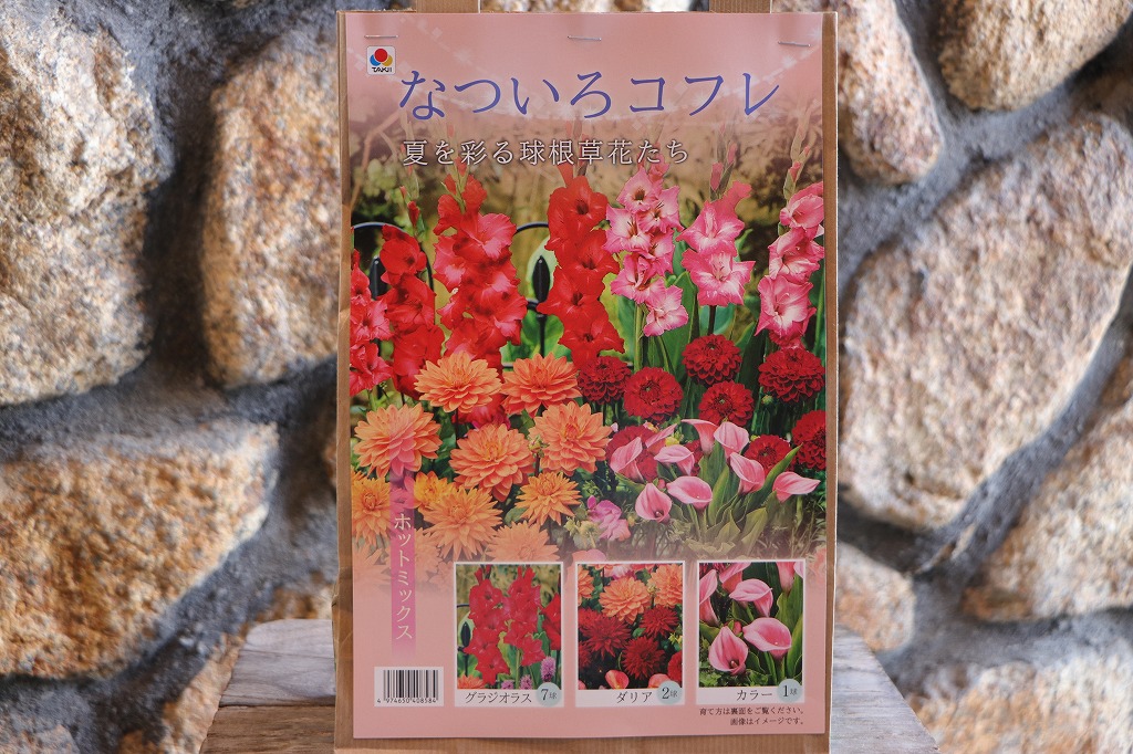 春植え球根セット！美しい花が咲く🌸✨ - GP-Yamacho