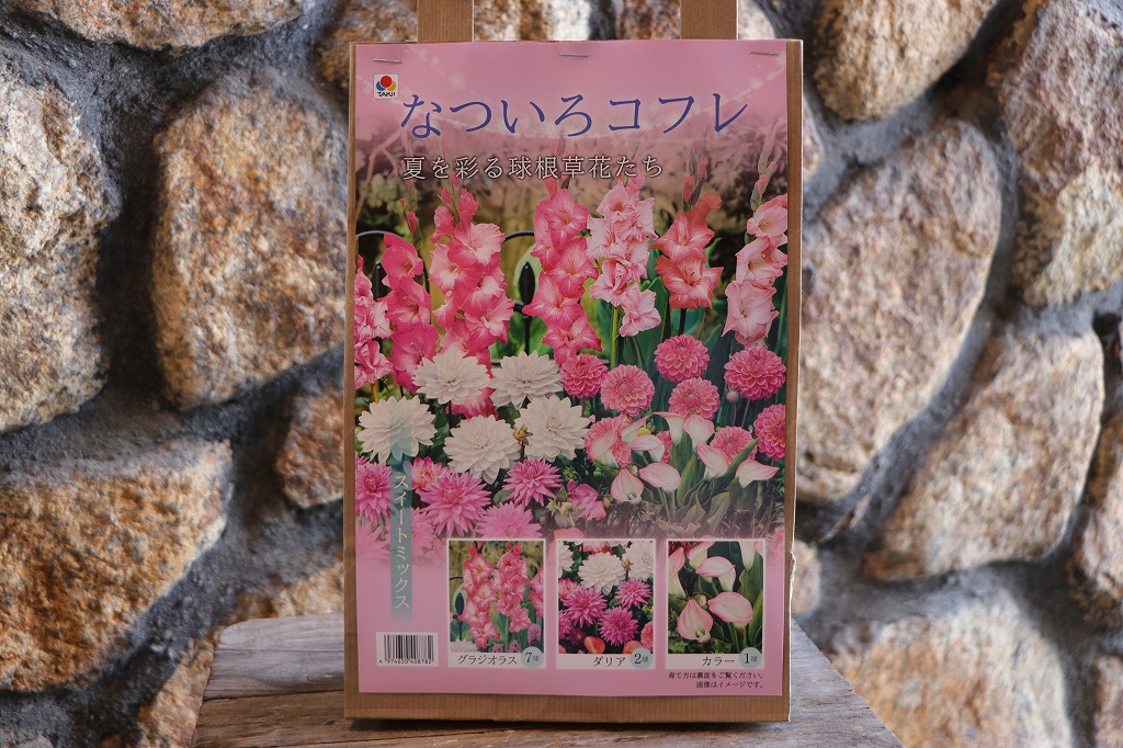 春植え球根セット！美しい花が咲く🌸✨ - GP-Yamacho