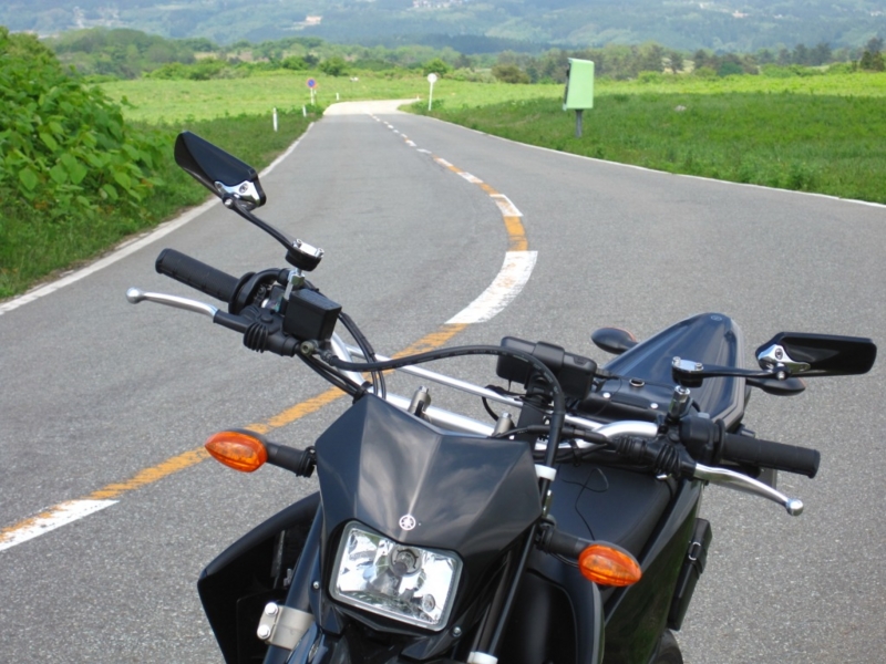 YS GEAR WR250R/WR250X ミニスクリーン ミニスクリーン ワイズギア
