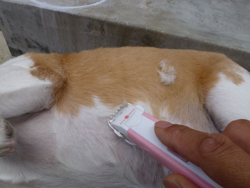 f:id:GSX-R1000:20120709081348j:image:w360