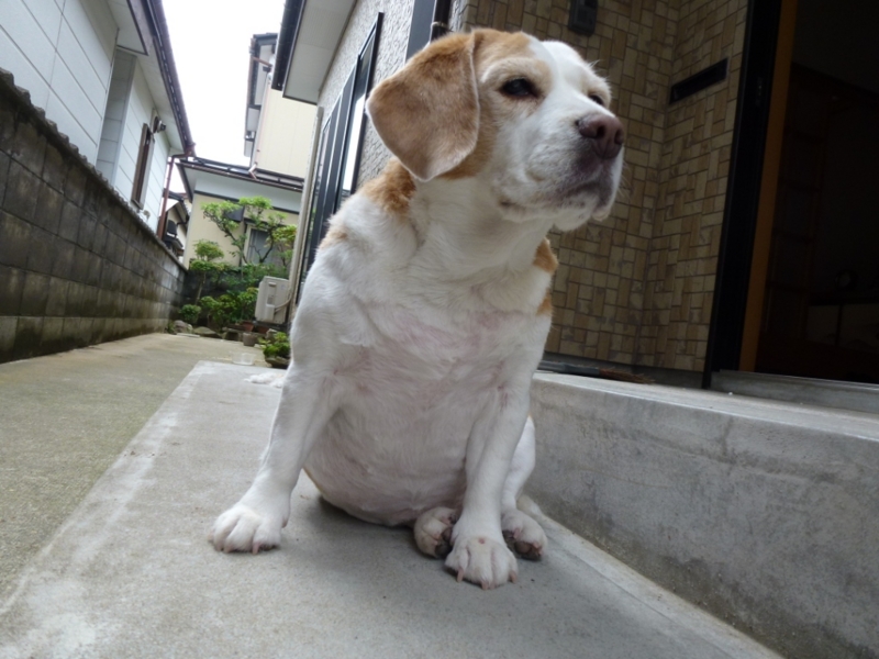 f:id:GSX-R1000:20120709083827j:image:w360